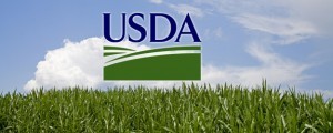 North Carolina USDA loan